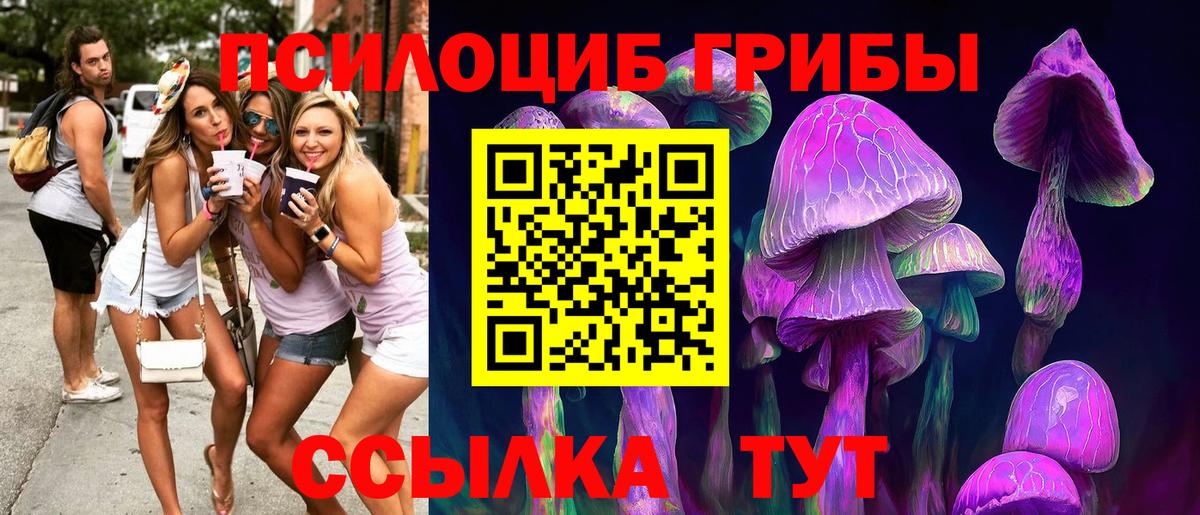 Галлюциногенные грибы MAGIC MUSHROOMS Луховицы