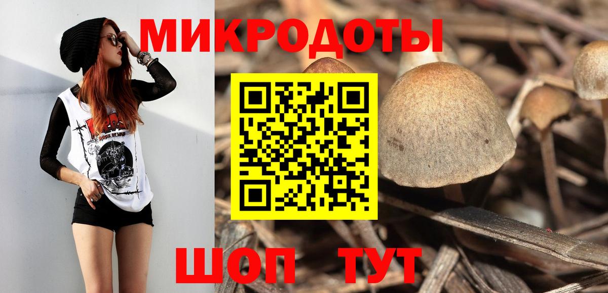 Луховицы  Псилоцибиновые грибы Cubensis  Вход с VPN 